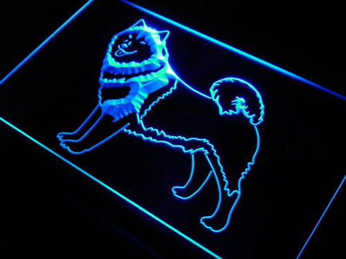 Alaskan Malamute Dog Pet Shop Neon Light Sign